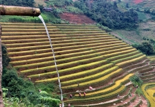 Vietnam Adventure Tour 3 Day Authentic Northwest To Mai Chau - Pu Luong 