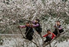 Vietnamese Vistas: A 4-Day Northwest Expedition