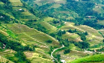 Day 6: SAPA TREKKING (B/L/D)