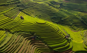 Day 4: TRAM TAU - MU CANG CHAI (B/L/D)