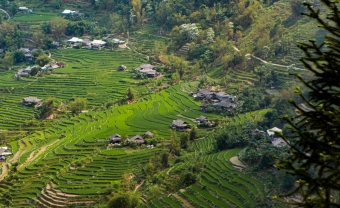 Day 2: Mai Chau - Pu Luong Nature Reserve - Ninh Binh (B/L/D)