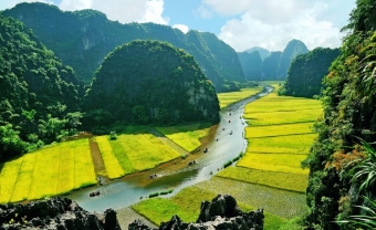 Day 1: Hanoi - Ninh Binh - Tam Coc (140 Km ) (L/D)
