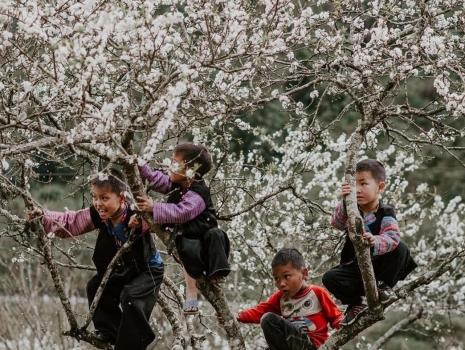 Vietnam Adventure Tour 7 Day Full Far North Frontier Loop