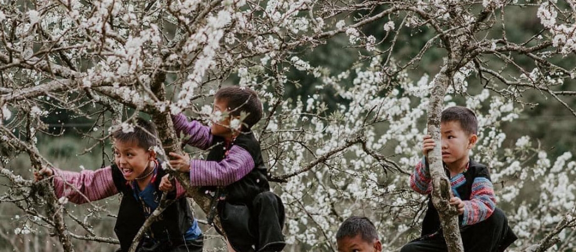 Vietnam Adventure Tour 7 Day Full Far North Frontier Loop