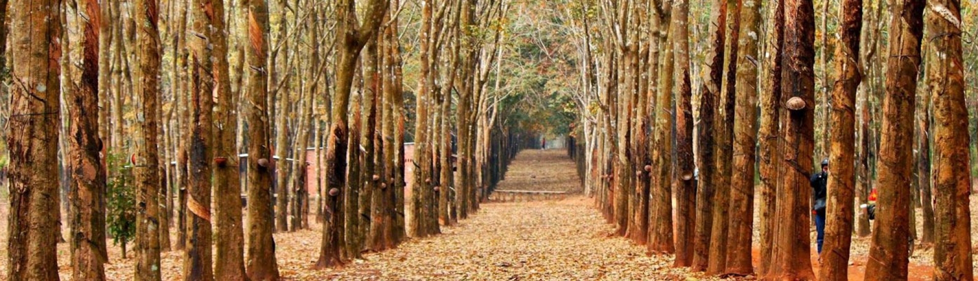 Destinations in Tay Ninh