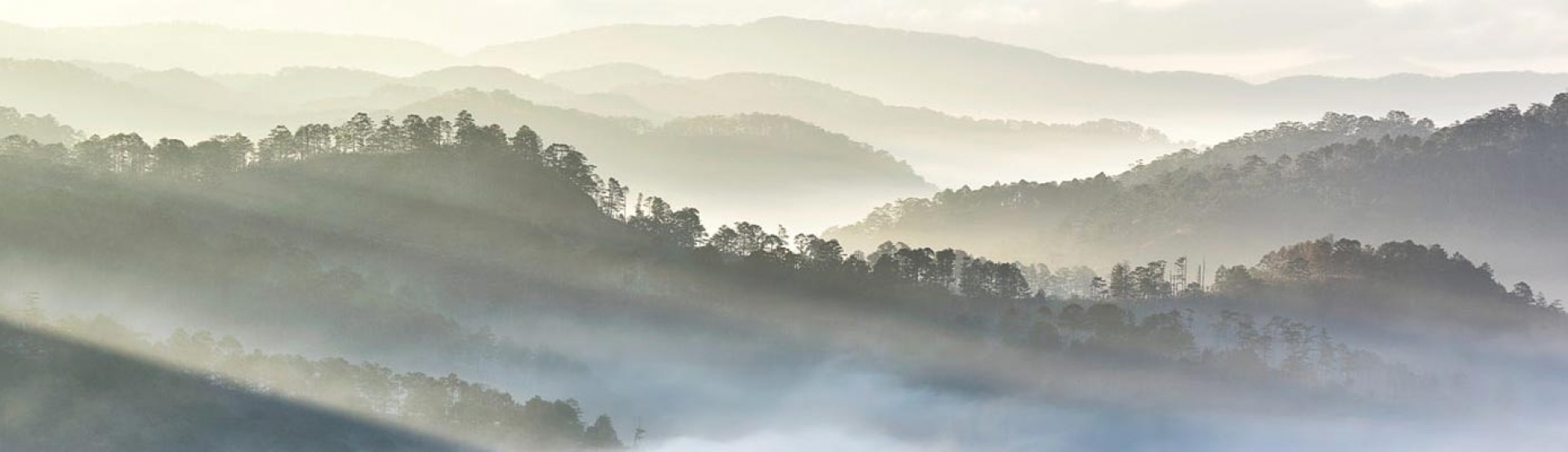 Destinations in Lam Dong