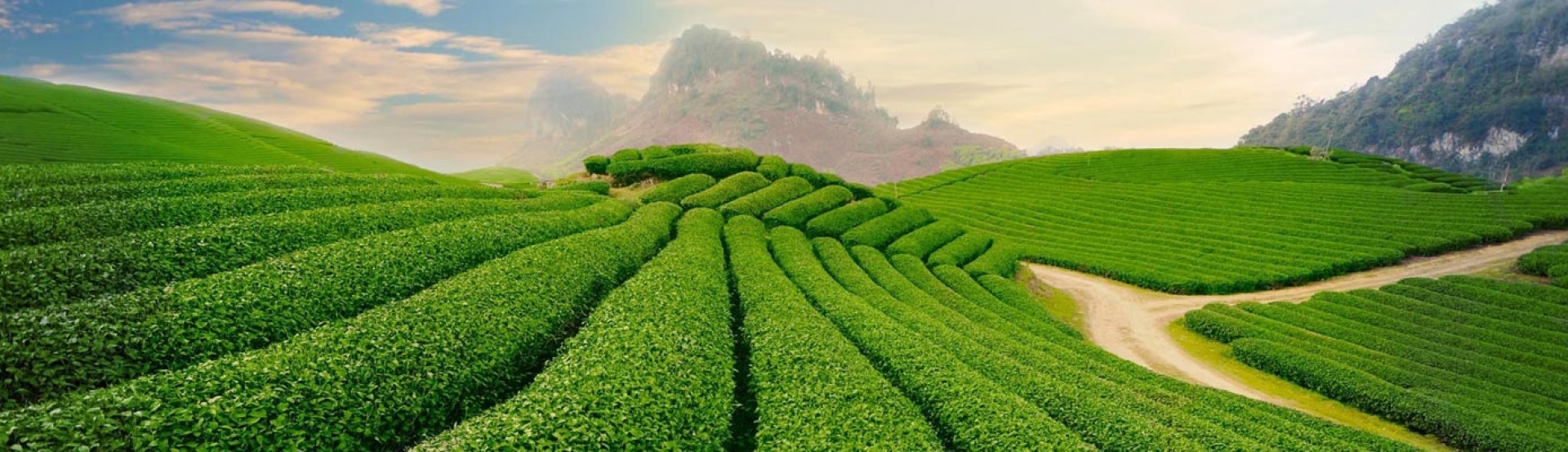 Destinations in Thai Nguyen