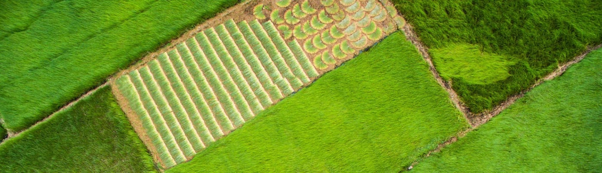 Destinations in Tra Vinh